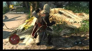 Assassin's Creed 4 Black Flag Trainer +21 V1.04