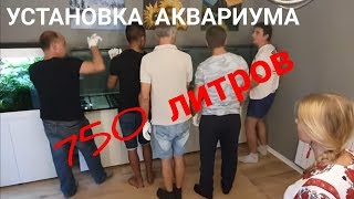 Устанавливаем аквариум 750 л. на его постоянное место.  Аквариум 2м 50см своими руками.  Часть 9