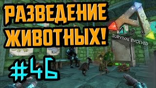 ARK: Survival Evolved #46 Как разводить животных
