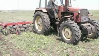 Культиватор междурядный КМ-5,6