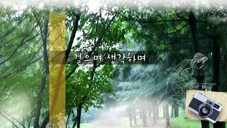 [걸으며] 산책하기 좋은 새연교와 새섬 .../ YTN 라디오