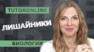 Биология | Лишайники