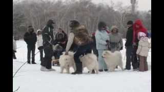 Февральские встречи на Кумысной поляне - 2012