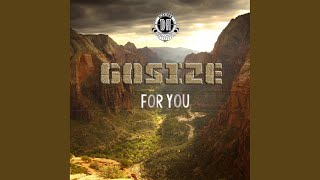 For You (Original Mix)