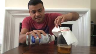 Making Kombucha Scoby from scratch