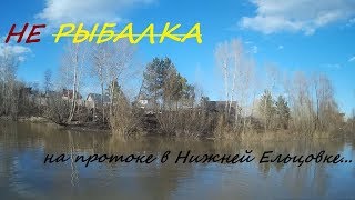 Рыбалка на поплавочную удочку в Нижней Ельцовке - ни одной поклевки. 25 апреля 2018.