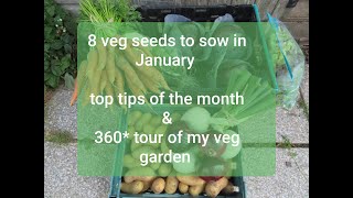 Seeds to sow in January 2020