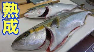 高級魚をわざと腐らせて食べてみたら・・・