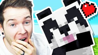 I Found BABY PANDAS in Minecraft Hardcore!