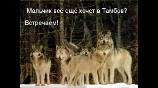 Мальчик хочет в Тамбов Прикол  Акапельно  Fun sing Tic Tic Tac in Russian
Голос The Vois