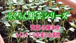 河村通夫のらくらく園芸11年7月 青菜の種まき、らくらく小松菜のお漬物