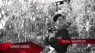 1 წუთი მაესტროზე -- ბერილი ბერიძე -- აჭარა, ზესოფელი