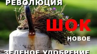 ЗЕЛЕНОЕ УДОБРЕНИЕ. НОВЫЙ СПОСОБ !!! ДЕЙСТВИЕ В НЕСКОЛЬКО РАЗ ЛУЧШЕ ПРЕДЫДУЩЕГО / GREEN MANURE