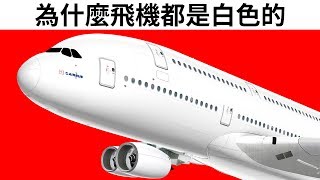 為什麼飛機顏色幾乎都是白色的呢?