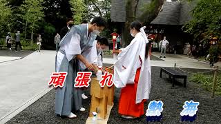 新型コロナ終息祈願　熱海来宮神社例大祭式典2020 　参列者・関係者に感染なし
