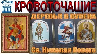 Кровь Николая Нового из Вунена по многочисленным просьбам, кровоточащие деревья. grecotaxi