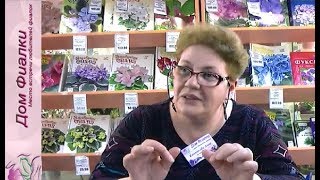 ДФ."Зимние" заболевания фиалок и стрептокарпусов.А.Кочеткова
