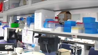 ¿Qué es la retinosis pigmentaria?