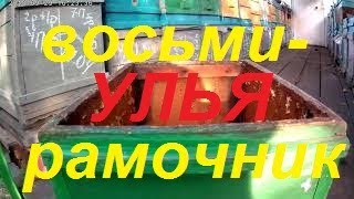 Улья  пчел 8 рамочные корпусные ДВП.Корпусная система работы и содержания пчела семей