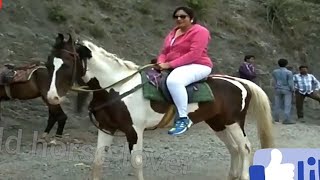 Big beautiful women horse riding during news reporting | indian actres horse riding