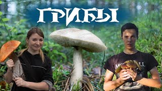 Собираем грибы в июле! Грибной сезон начался! Маша потерялась в лесу?!!