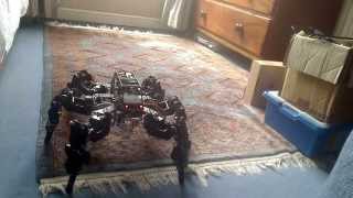 T-HEX Hexapod 4DoF - First Test