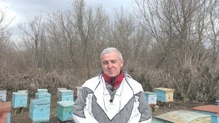 Что нужно делать весной на пасеке? УБОРКА.УТЕПЛЕНИЕ.СОКРАЩЕНИЕ.