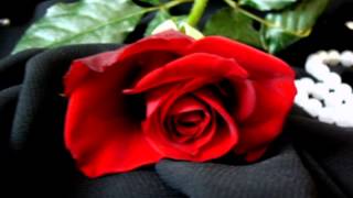 Что было, то было Наталия Муравьева Ретро песни 60-70 Russia Love Song