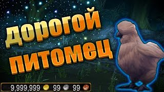 Питомец "Франсуа". Это секретный пет ?  Гайд в WOW BFA 8.0.1