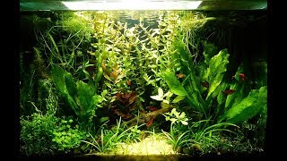 Акцентное освещение аквариума.