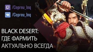 Где фармить в Black Desert? (актуально всегда)
