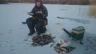 Супер блесна, первые 125 Окуней! Зимняя блесна 2019.открытие сезона.