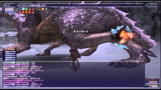 FF11 魔導剣士ソロ　ヨルムンガルド