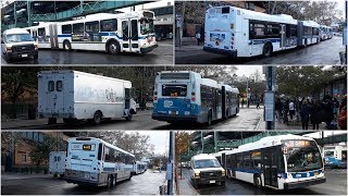 MTA: New Flyer D60HF & XD60|MCI D4500CT|NovaBus LFSA's Training/Bx39/Bx41 SBS/BxM11 buses