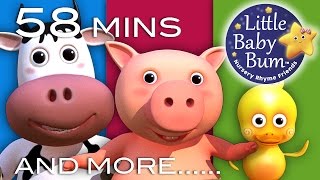 Old MacDonald Had A Farm | Little Baby Bum | Nursery Rhymes for Babies | ABCs and 123s