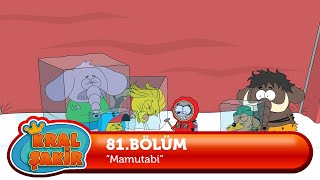 KRAL ŞAKİR: Mamutabi - 81. Bölüm