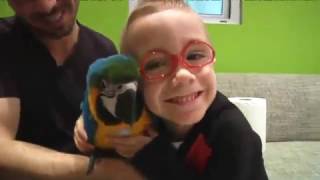 Pollito de Guacamayo - Capítulo 91 Veterinaris TV3