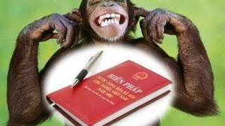 Chế độ Cộng Sản VN không hề thay đổi, trừ khi nhân dân quyết tâm đổi thay
