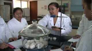Licenciatura en Química | UADY