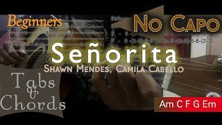 Señorita Guitar Lesson-Shawn Mendes Camila Cabello NO CAPO|Easy for beginners|Chords + TAB|