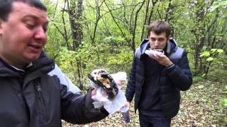 Обзор на танкобургер из бургер кинг с Алексеем Хомяковым