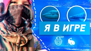 СИНИЙ КИТ? F57? ЧТО ЭТО ВООБЩЕ ТАКОЕ?! [ГРУППЫ СМЕРТИ] F58? МОРЕ КИТОВ? Я В ИГРЕ?