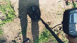 Ака Сигнум против XP Deus на мусорке