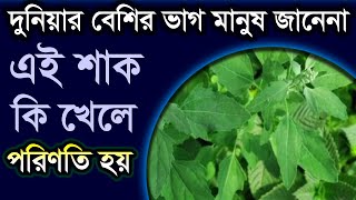 দুনিয়ার বেশির ভাগ মানুষ জানেনা এই শাক খেলে কি হয় ! যে উপকার পাবেন কোটি টাকাতেও পাবেন না দেখুন !
