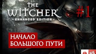 The Witcher | Ведьмак. Прохождение. #1. Начало большого пути.