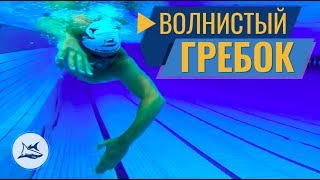КАК ПЛЫТЬ ЛЕГКО И БЫСТРО. ВОЛНИСТЫЙ ГРЕБОК