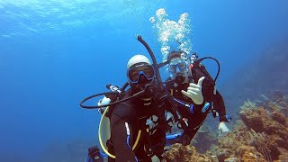 Roatan Scuba Diving - Wrecks, Sharks and more !