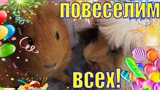 Повеселим Всех/День рождения/смешные анекдоты/детский юмор