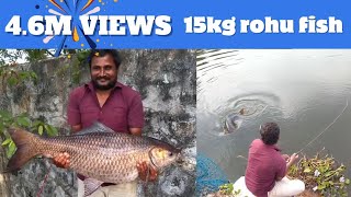 15 kg big rohu fish landing technique by hook stars