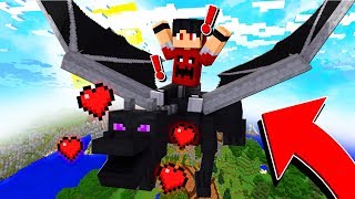 COMO TREINAR SEU DRAGÃO DO ENDER NO MINECRAFT *incrível* ‹‹ P3DRU ››